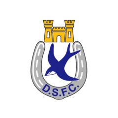Dungannon FC